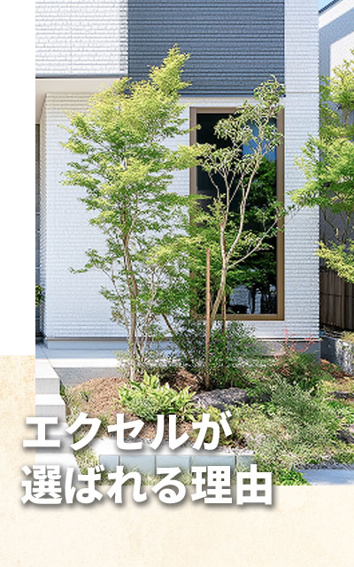 選ばれる理由