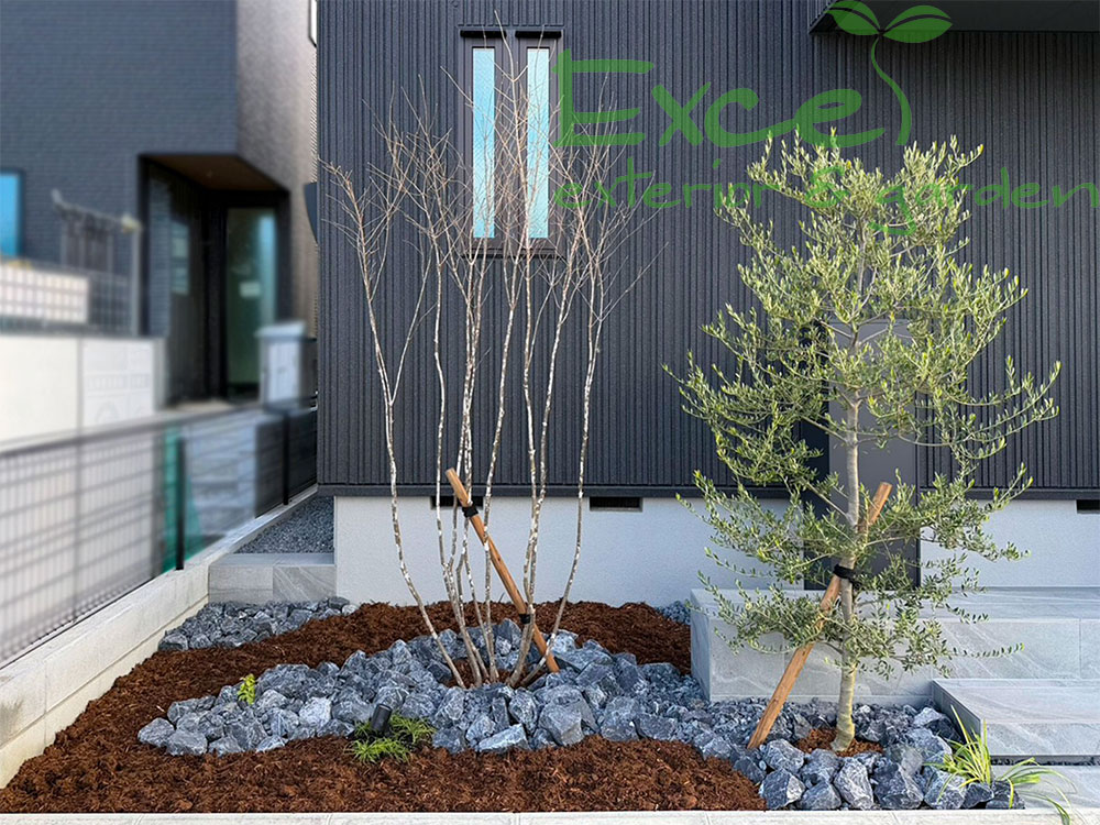 オリーブとアオダモ