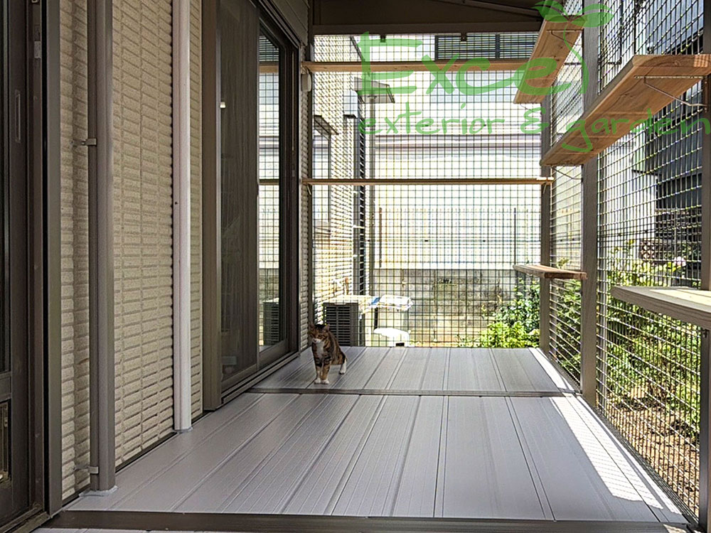 猫の部屋と猫229-6